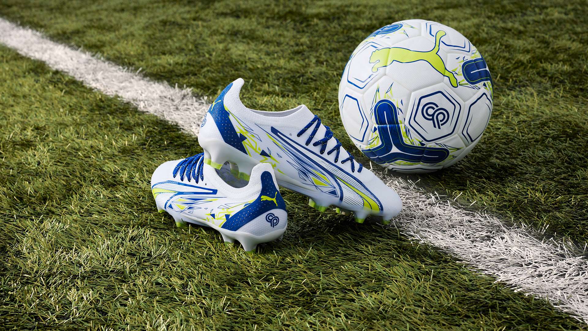 教练组将着 教练组将着