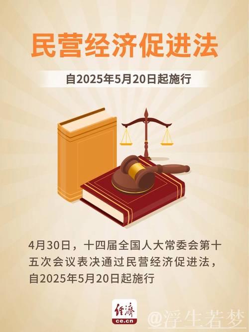 以法之名护航民营经济勃勃生机——写在民营经济促进法施行之际